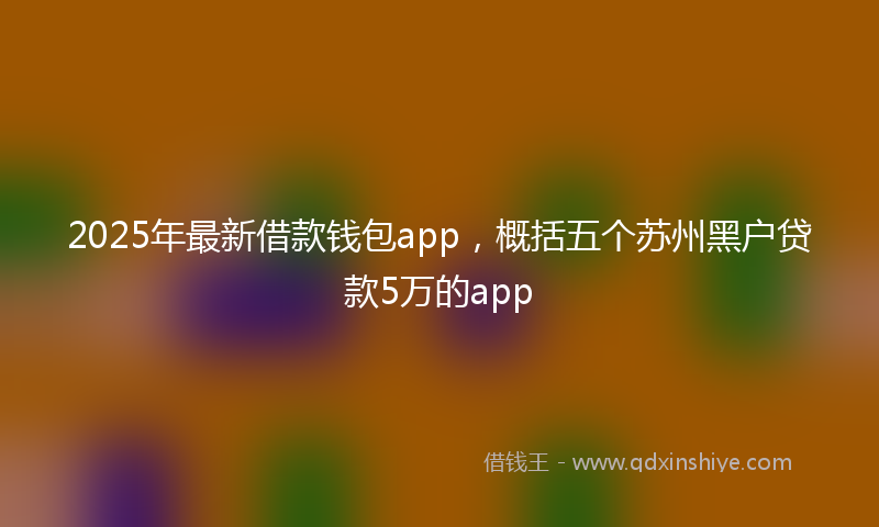 2025年最新借款钱包app，概括五个苏州黑户贷款5万的app