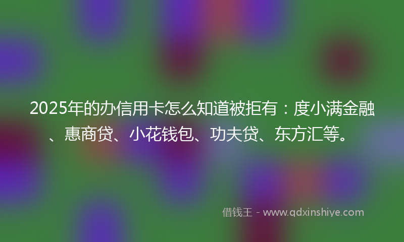 2025年的办信用卡怎么知道被拒有：度小满金融、惠商贷、小花钱包、功夫贷、东方汇等。