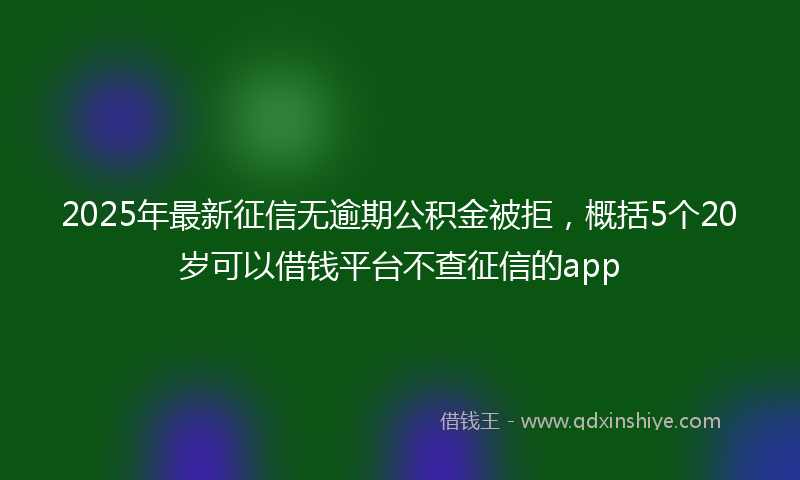 2025年最新征信无逾期公积金被拒，概括5个20岁可以借钱平台不查征信的app