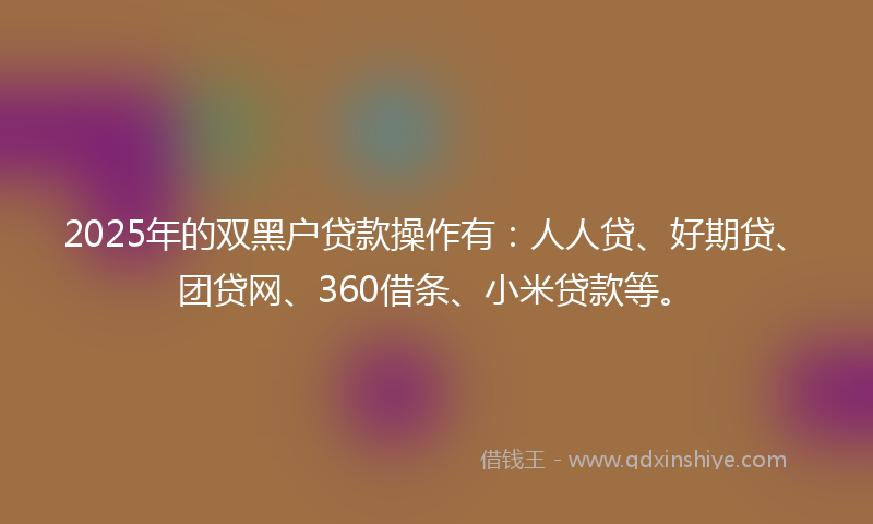 2025年的双黑户贷款操作有：人人贷、好期贷、团贷网、360借条、小米贷款等。