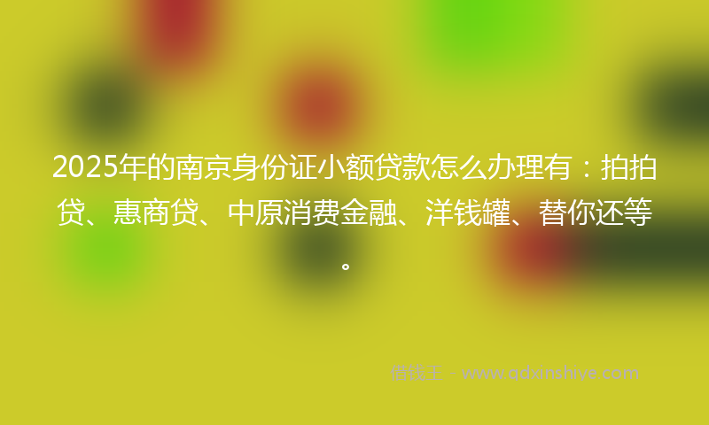 2025年的南京身份证小额贷款怎么办理有：拍拍贷、惠商贷、中原消费金融、洋钱罐、替你还等。