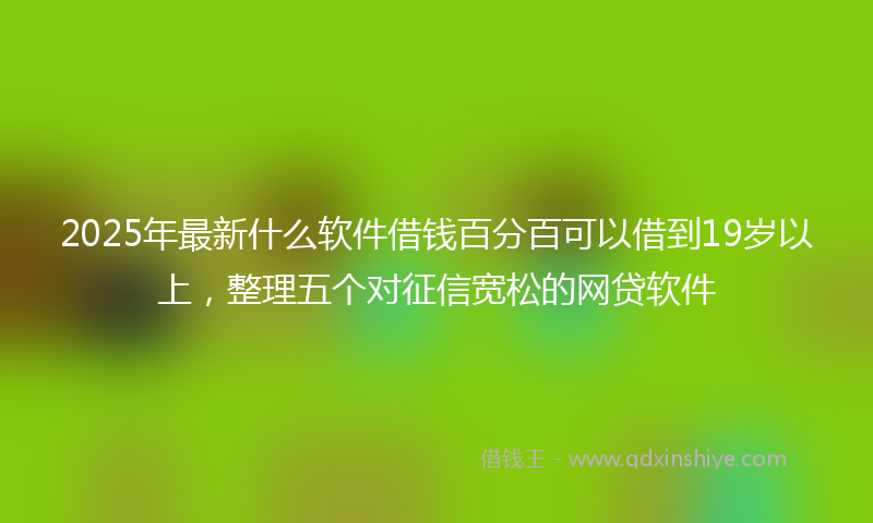 2025年最新什么软件借钱百分百可以借到19岁以上，整理五个对征信宽松的网贷软件