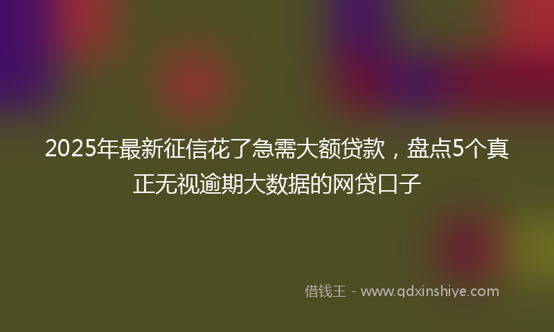 2025年最新征信花了急需大额贷款，盘点5个真正无视逾期大数据的网贷口子