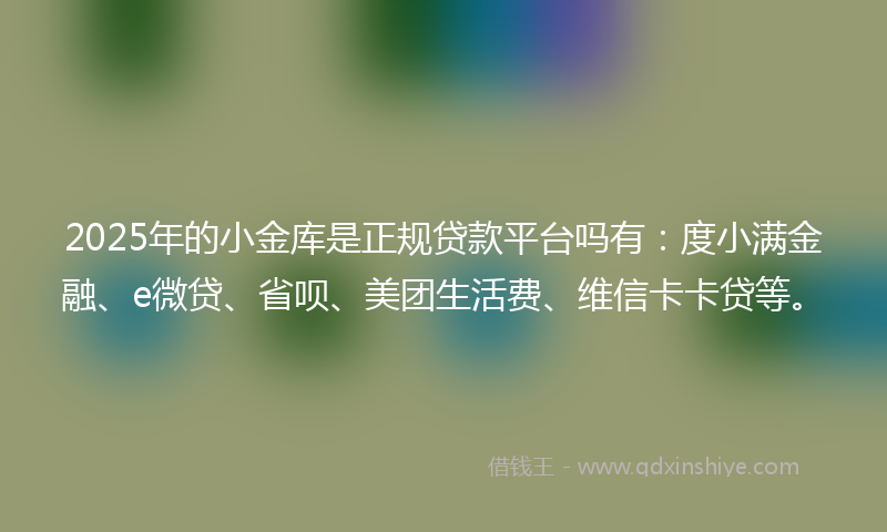 2025年的小金库是正规贷款平台吗有：度小满金融、e微贷、省呗、美团生活费、维信卡卡贷等。