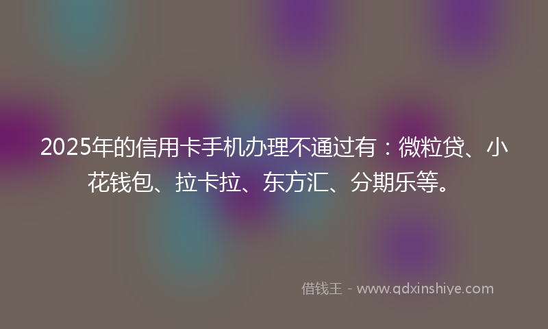 2025年的信用卡手机办理不通过有：微粒贷、小花钱包、拉卡拉、东方汇、分期乐等。