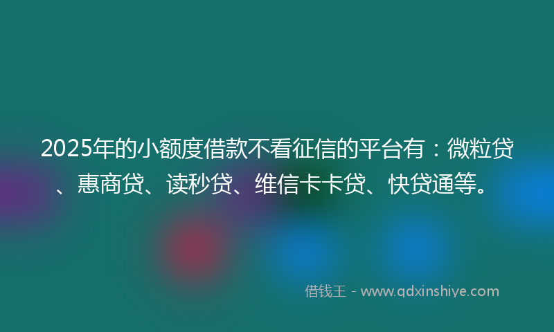 2025年的小额度借款不看征信的平台有：微粒贷、惠商贷、读秒贷、维信卡卡贷、快贷通等。