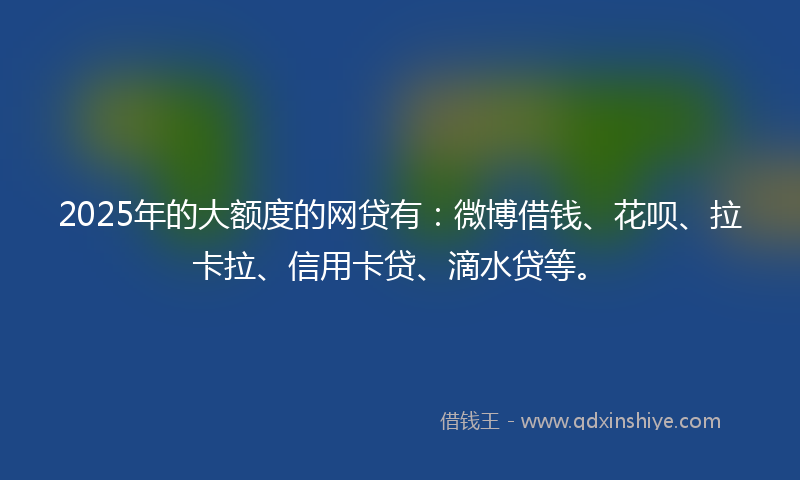2025年的大额度的网贷有：微博借钱、花呗、拉卡拉、信用卡贷、滴水贷等。