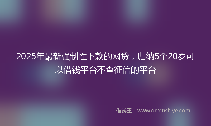 2025年最新强制性下款的网贷，归纳5个20岁可以借钱平台不查征信的平台