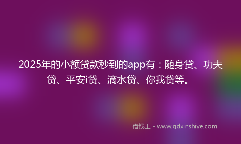 2025年的小额贷款秒到的app有：随身贷、功夫贷、平安i贷、滴水贷、你我贷等。