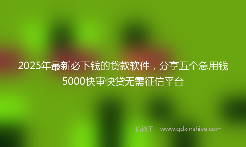 2025年最新必下钱的贷款软件，分享五个急用钱5000快审快贷无需征信平台