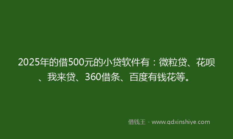 2025年的借500元的小贷软件有：微粒贷、花呗、我来贷、360借条、百度有钱花等。