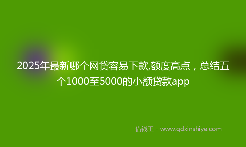 2025年最新哪个网贷容易下款,额度高点，总结五个1000至5000的小额贷款app