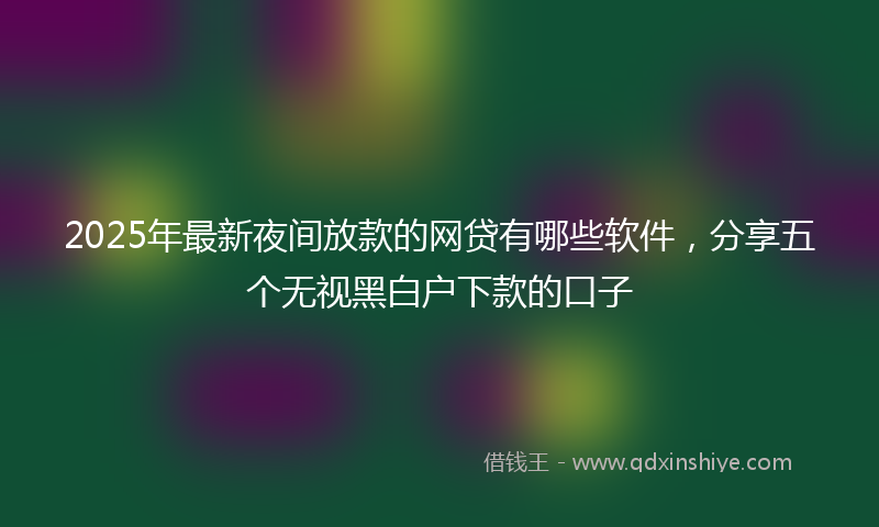 2025年最新夜间放款的网贷有哪些软件，分享五个无视黑白户下款的口子