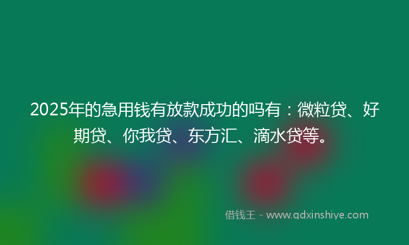 2025年的急用钱有放款成功的吗有：微粒贷、好期贷、你我贷、东方汇、滴水贷等。