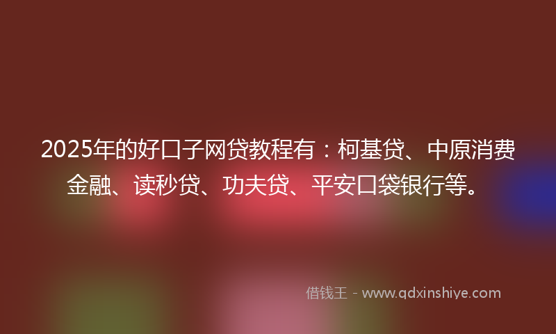 2025年的好口子网贷教程有：柯基贷、中原消费金融、读秒贷、功夫贷、平安口袋银行等。