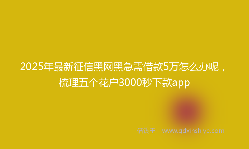 2025年最新征信黑网黑急需借款5万怎么办呢，梳理五个花户3000秒下款app