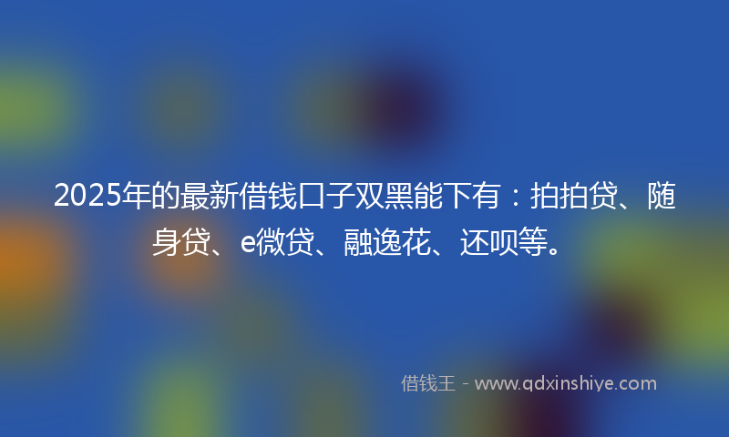 2025年的最新借钱口子双黑能下有：拍拍贷、随身贷、e微贷、融逸花、还呗等。