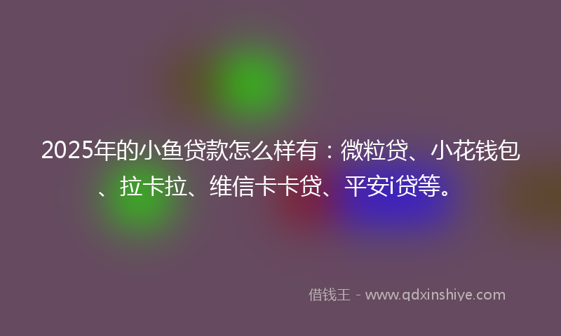 2025年的小鱼贷款怎么样有：微粒贷、小花钱包、拉卡拉、维信卡卡贷、平安i贷等。