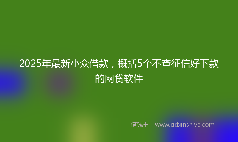 2025年最新小众借款，概括5个不查征信好下款的网贷软件