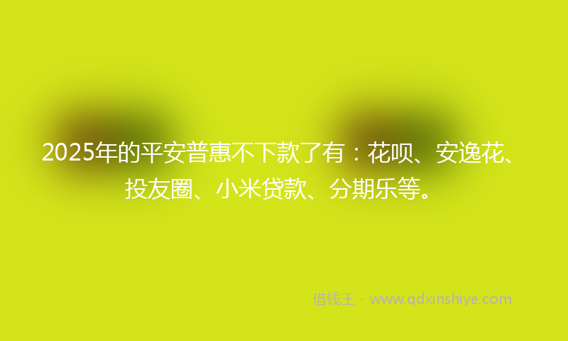 2025年的平安普惠不下款了有：花呗、安逸花、投友圈、小米贷款、分期乐等。