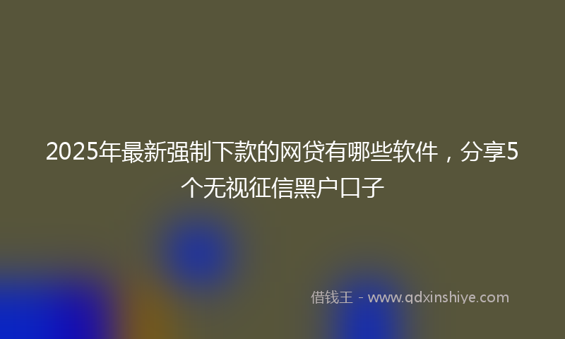 2025年最新强制下款的网贷有哪些软件，分享5个无视征信黑户口子