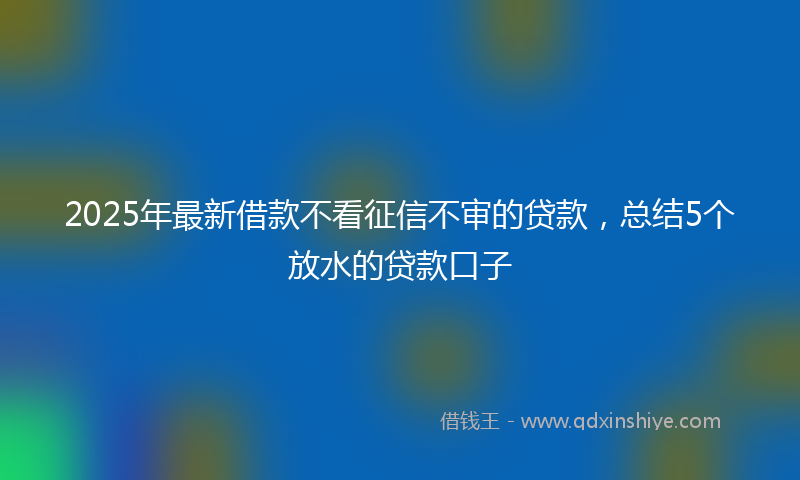 2025年最新借款不看征信不审的贷款，总结5个放水的贷款口子