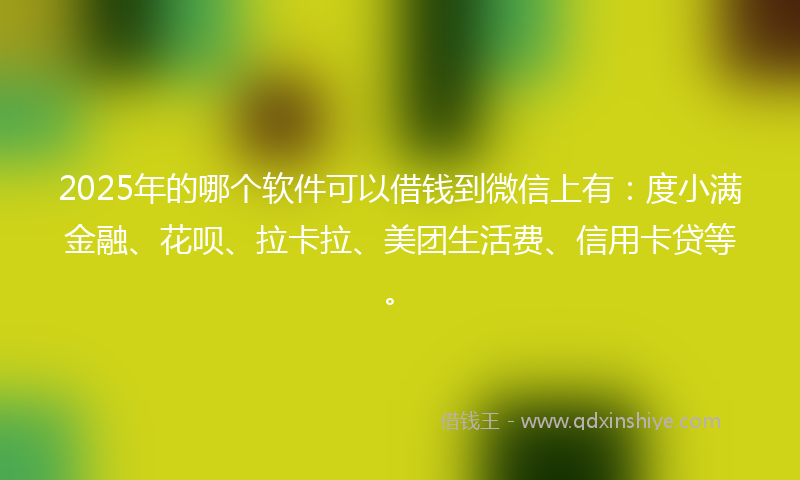2025年的哪个软件可以借钱到微信上有：度小满金融、花呗、拉卡拉、美团生活费、信用卡贷等。