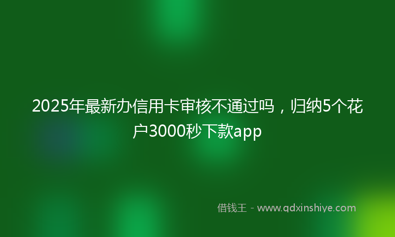 2025年最新办信用卡审核不通过吗，归纳5个花户3000秒下款app