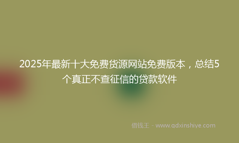 2025年最新十大免费货源网站免费版本，总结5个真正不查征信的贷款软件