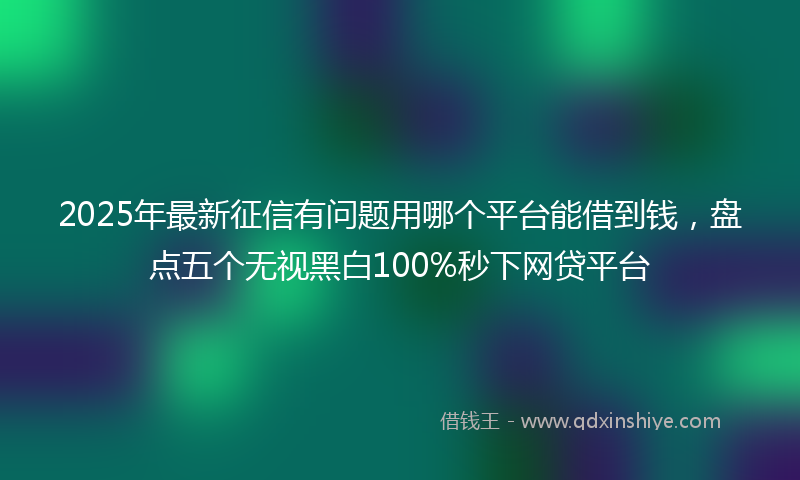 2025年最新征信有问题用哪个平台能借到钱，盘点五个无视黑白100%秒下网贷平台