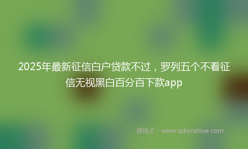 2025年最新征信白户贷款不过，罗列五个不看征信无视黑白百分百下款app