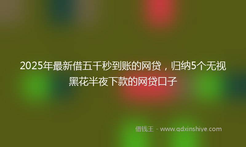 2025年最新借五千秒到账的网贷，归纳5个无视黑花半夜下款的网贷口子