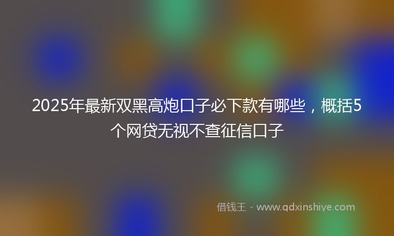 2025年最新双黑高炮口子必下款有哪些，概括5个网贷无视不查征信口子