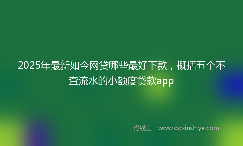 2025年最新如今网贷哪些最好下款，概括五个不查流水的小额度贷款app