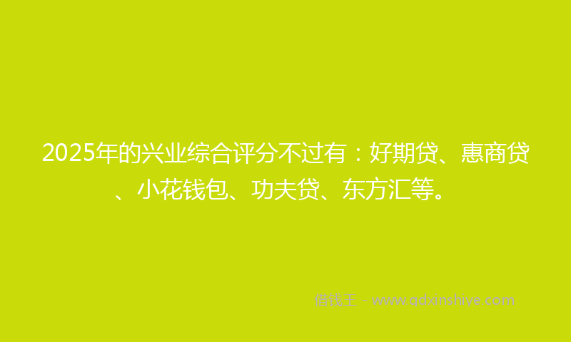 2025年的兴业综合评分不过有：好期贷、惠商贷、小花钱包、功夫贷、东方汇等。