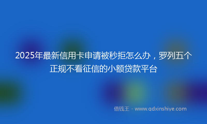 2025年最新信用卡申请被秒拒怎么办，罗列五个正规不看征信的小额贷款平台
