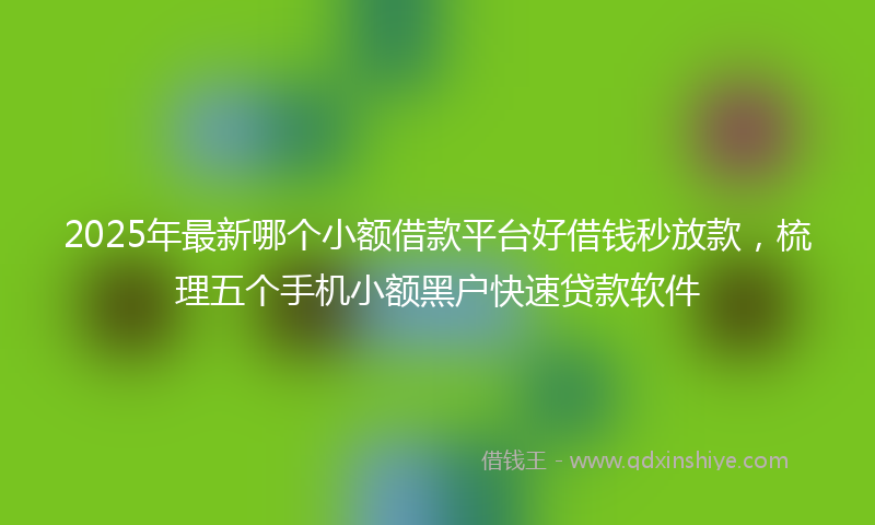 2025年最新哪个小额借款平台好借钱秒放款，梳理五个手机小额黑户快速贷款软件