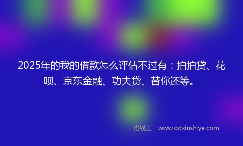 2025年的我的借款怎么评估不过有：拍拍贷、花呗、京东金融、功夫贷、替你还等。