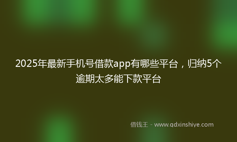 2025年最新手机号借款app有哪些平台，归纳5个逾期太多能下款平台