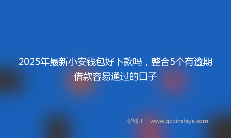 2025年最新小安钱包好下款吗，整合5个有逾期借款容易通过的口子