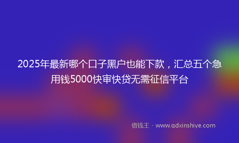 2025年最新哪个口子黑户也能下款，汇总五个急用钱5000快审快贷无需征信平台