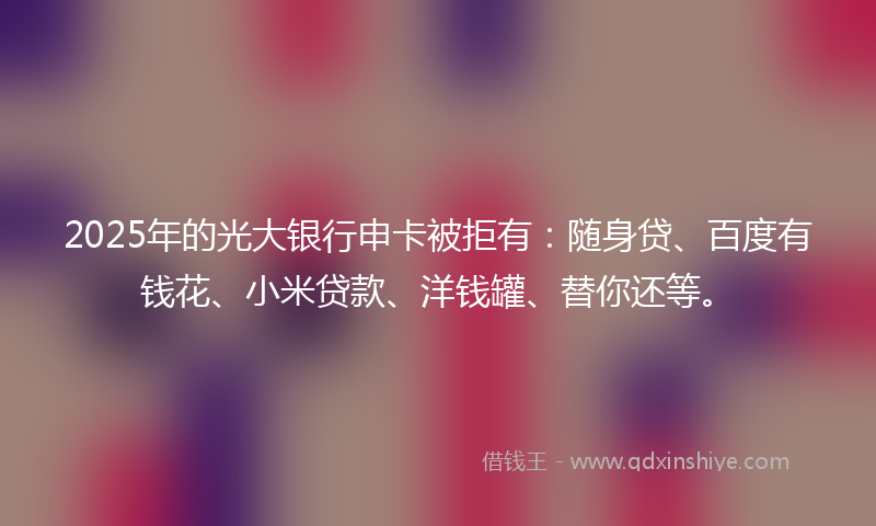 2025年的光大银行申卡被拒有：随身贷、百度有钱花、小米贷款、洋钱罐、替你还等。