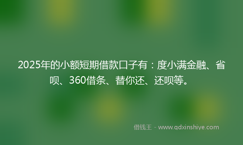 2025年的小额短期借款口子有：度小满金融、省呗、360借条、替你还、还呗等。