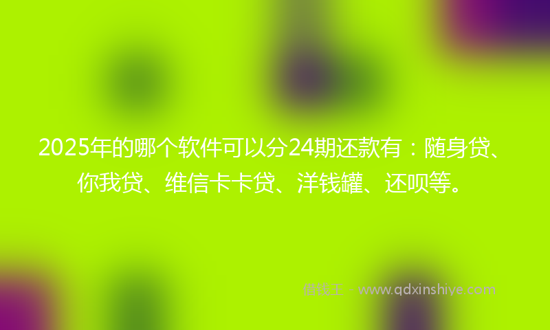 2025年的哪个软件可以分24期还款有：随身贷、你我贷、维信卡卡贷、洋钱罐、还呗等。