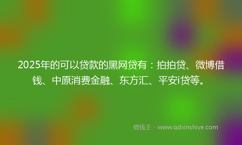 2025年的可以贷款的黑网贷有：拍拍贷、微博借钱、中原消费金融、东方汇、平安i贷等。