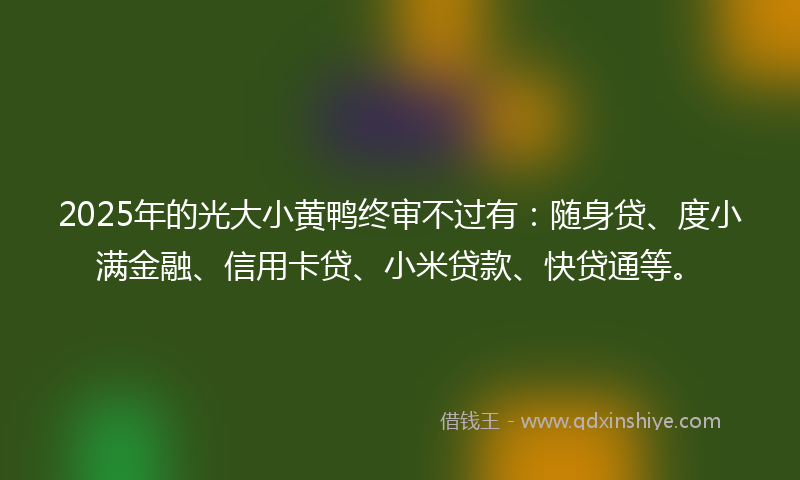 2025年的光大小黄鸭终审不过有：随身贷、度小满金融、信用卡贷、小米贷款、快贷通等。