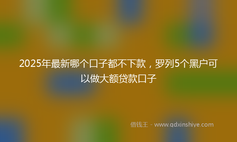 2025年最新哪个口子都不下款，罗列5个黑户可以做大额贷款口子