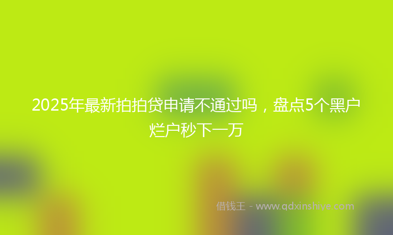 2025年最新拍拍贷申请不通过吗，盘点5个黑户烂户秒下一万