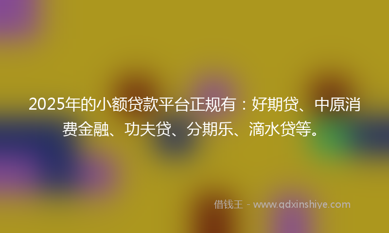 2025年的小额贷款平台正规有：好期贷、中原消费金融、功夫贷、分期乐、滴水贷等。