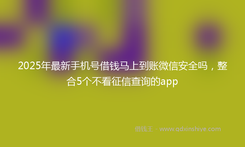 2025年最新手机号借钱马上到账微信安全吗，整合5个不看征信查询的app